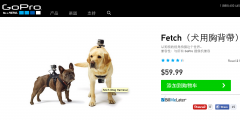 GoPro Fetch：汪星人专属相机 让你看